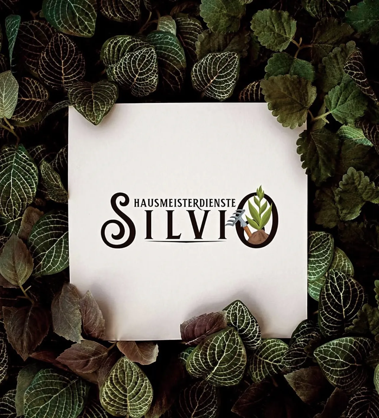Logo Hausmeisterdienste Silvio aus Feldkirch auf einem Blatt Papier, umgeben von grünen Blättern